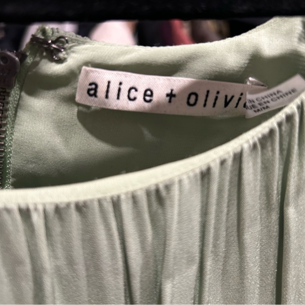 Alice + Olivia Sheer Dress - Picture 8 of 8